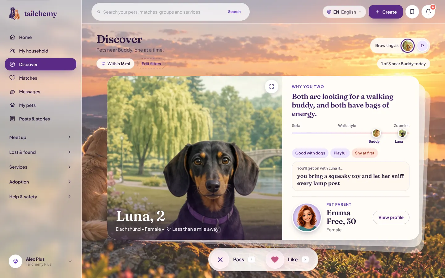 Tailchemy Discover preview: a pet profile, shared interests, walk style and the pet parent's profile.